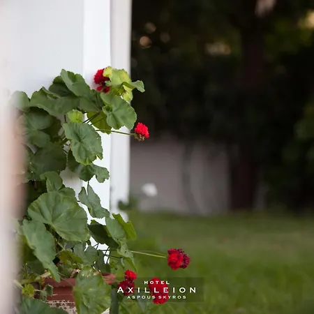 ホテル Achilleion