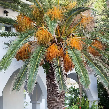 ホテル Achilleion