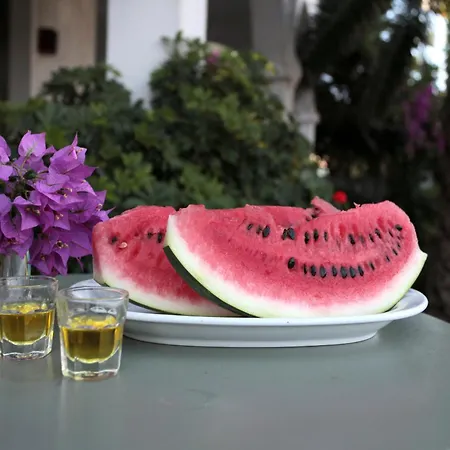 Hotel Achilleion Skyros